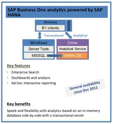 SAP Business One Analytics Powered By Hana