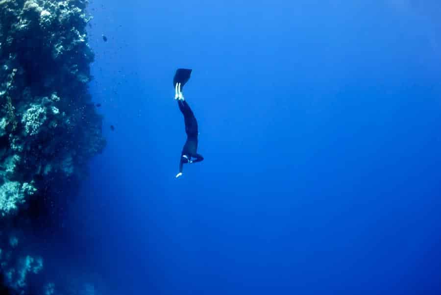 SAP Stock Market Deep Dives